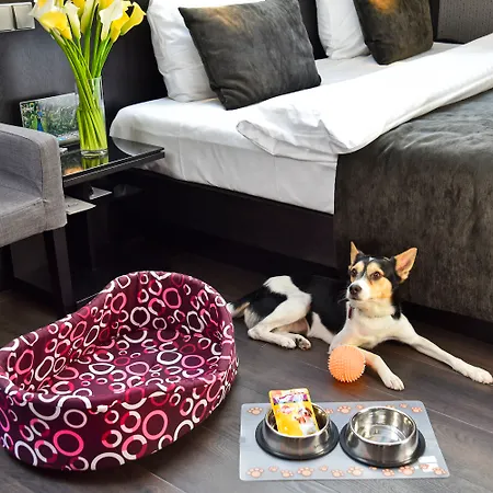 Ametyst Hotell